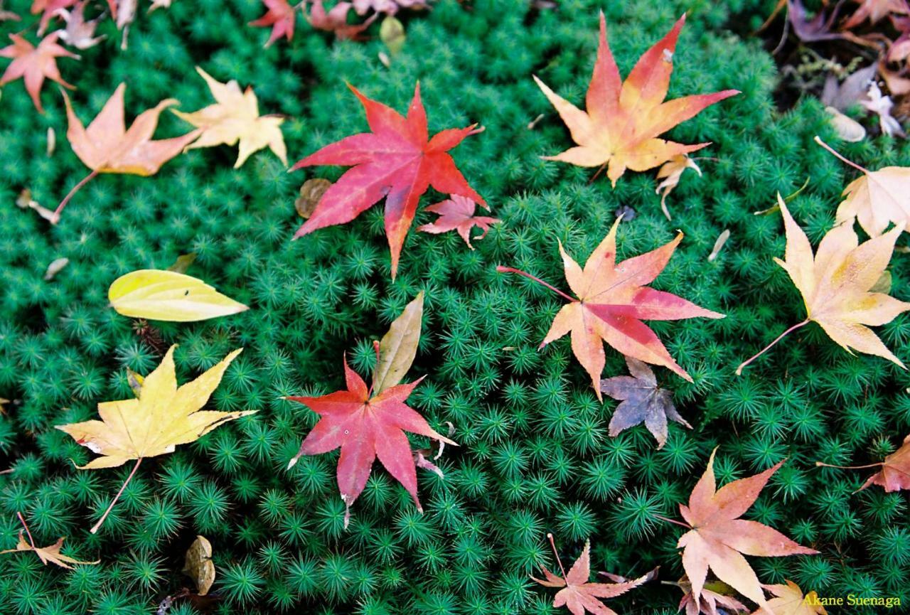 Kyoto Home Higashikujo Esterno foto